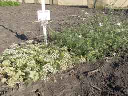 Ames_29109_08ncai01_SD_PL_XX_2013-07-01_03.jpg