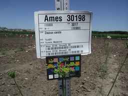 Ames_30198_09ncao01_SD_PL_UM_2010-07-15_01.jpg