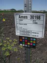 Ames_30198_09ncao01_SD_PL_UM_2010-07-15_04.jpg