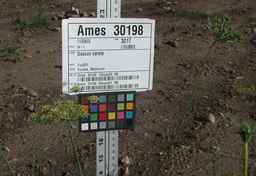 Ames_30198_09ncao01_SD_PL_UM_2010-07-21_01.jpg