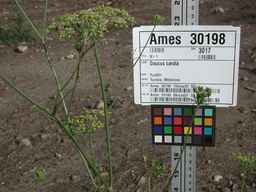 Ames_30198_09ncao01_SD_PL_UM_2010-07-21_03.jpg