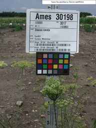 Ames_30198_09ncao01_SD_PL_UM_2010-08-04_01.jpg