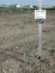 Ames_30198_09ncao01_SD_PL_XX_2010-07-21_02.jpg