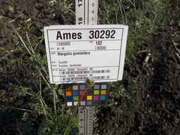 Ames_30292_12ncax01_SD_PL_UM_2013-07-01_01.jpg