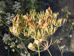Ames_30292_12ncax01_SD_SD_XX_2013-08-29_01.jpg