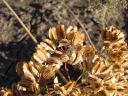 Ames_30292_12ncax01_SD_SD_XX_2013-09-13_03.jpg