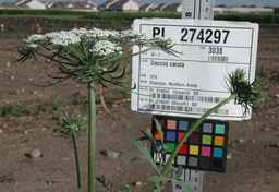 PI_274297_65ncai01_SD_PL_UM_2010-07-21_02.jpg