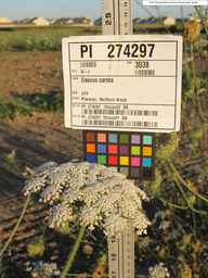 PI_274297_65ncai01_SD_PL_UM_2010-08-28_02.jpg