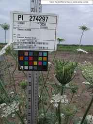 PI_274297_65ncai01_SD_PL_XX_2010-08-04_01.jpg