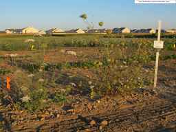 PI_274297_65ncai01_SD_PL_XX_2010-08-28_02.jpg