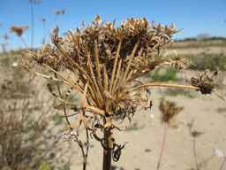 PI_274297_65ncai01_SD_SD_XX_2010-10-07_01.jpg