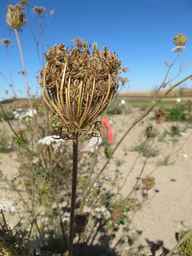 PI_274297_65ncai01_SD_SD_XX_2010-10-07_02.jpg