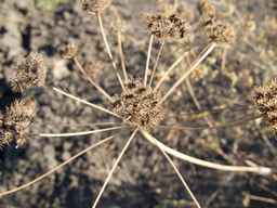 PI_277064_06ncai01_SD_SD_XX_2013-09-13_01.jpg