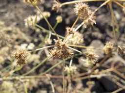 PI_277064_06ncai01_SD_SD_XX_2013-09-13_02.jpg