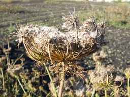 PI_279762_84ncai01_SD_SD_XX_2013-10-07_04.jpg