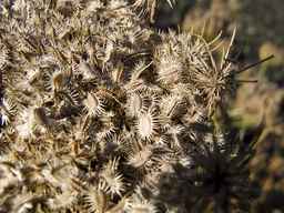 PI_279762_84ncai01_SD_SD_XX_2013-10-07_05.jpg