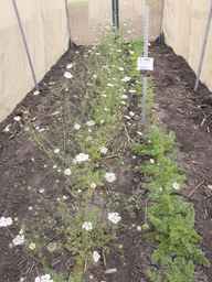 PI_279763_04ncai01_SD_PL_XX_2013-06-21_03.jpg