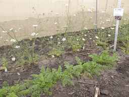 PI_279763_04ncai01_SD_PL_XX_2013-06-21_04.jpg