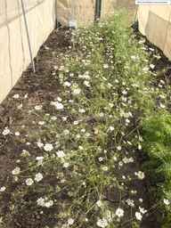 PI_279763_04ncai01_SD_PL_XX_2013-07-03_02.jpg