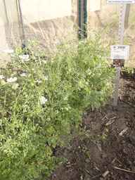 PI_279763_04ncai01_SD_PL_XX_2013-07-03_04.jpg