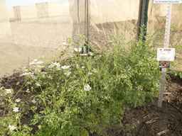 PI_279763_04ncai01_SD_PL_XX_2013-07-03_05.jpg