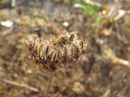 PI_279763_04ncai01_SD_SD_XX_2011-10-18_02.jpg