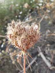 PI_279763_04ncai01_SD_SD_XX_2013-08-23_01.jpg