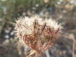 PI_279763_04ncai01_SD_SD_XX_2013-08-23_02.jpg
