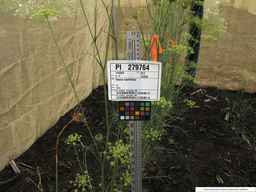 PI_279764_03ncai01_SD_PL_XX_2013-07-31_01.jpg