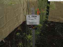 PI_279764_03ncai01_SD_PL_XX_2017-07-31_01.jpg