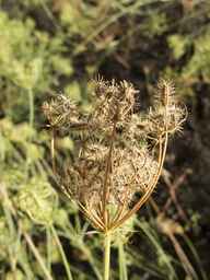PI_279764_03ncai01_SD_SD_XX_2013-10-07_04.jpg
