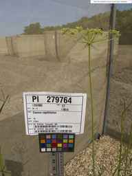 PI_279764_88ncab01_SD_PL_UM_2013-07-03_02.jpg