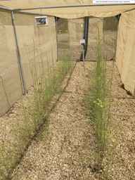 PI_279764_88ncab01_SD_PL_XX_2013-07-03_01.jpg