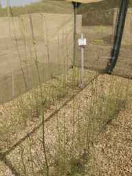 PI_279764_88ncab01_SD_PL_XX_2013-07-03_03.jpg