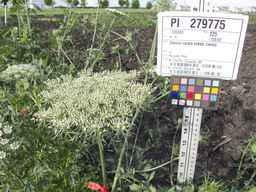 PI_279775_84ncai01_SD_PL_UM_2013-06-18_03.jpg