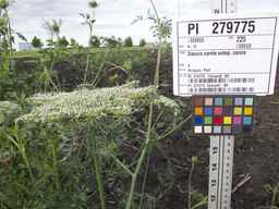 PI_279775_84ncai01_SD_PL_UM_2013-06-18_04.jpg