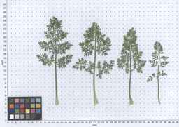 PI_279777_84ncai01_SD_PL_LV_2013-05-30_02.jpg
