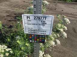 PI_279777_84ncai01_SD_PL_XX_2011-06-28_01.jpg