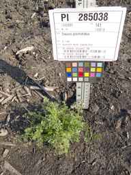 PI_285038_09ncai01_SD_PL_XX_2013-07-02_01.jpg