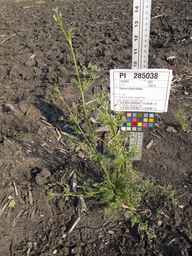 PI_285038_09ncai01_SD_PL_XX_2013-07-02_02.jpg