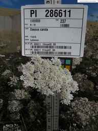 PI_286611_01ncai01_SD_PL_UM_2013-07-29_01.jpg