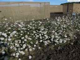 PI_286611_01ncai01_SD_PL_XX_2013-07-29_02.jpg
