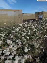 PI_286611_01ncai01_SD_PL_XX_2013-07-29_03.jpg