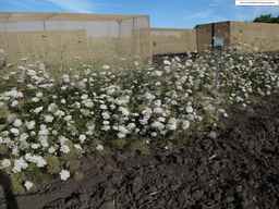 PI_286611_01ncai01_SD_PL_XX_2013-07-29_04.jpg