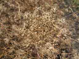 PI_286611_01ncai01_SD_SD_XX_2013-10-07_04.jpg