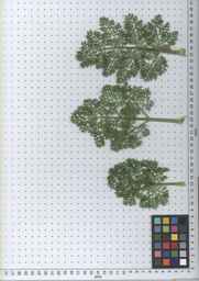 PI_295854_86ncei01_SD_PL_LV_2010-06-30_03.jpg
