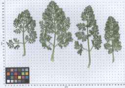 PI_295854_86ncei01_SD_PL_LV_2013-05-29_01.jpg