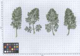 PI_295854_86ncei01_SD_PL_LV_2013-05-29_02.jpg