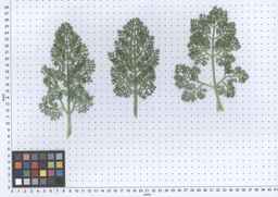 PI_295854_86ncei01_SD_PL_LV_2013-05-29_03.jpg