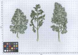 PI_295854_86ncei01_SD_PL_LV_2013-05-29_04.jpg